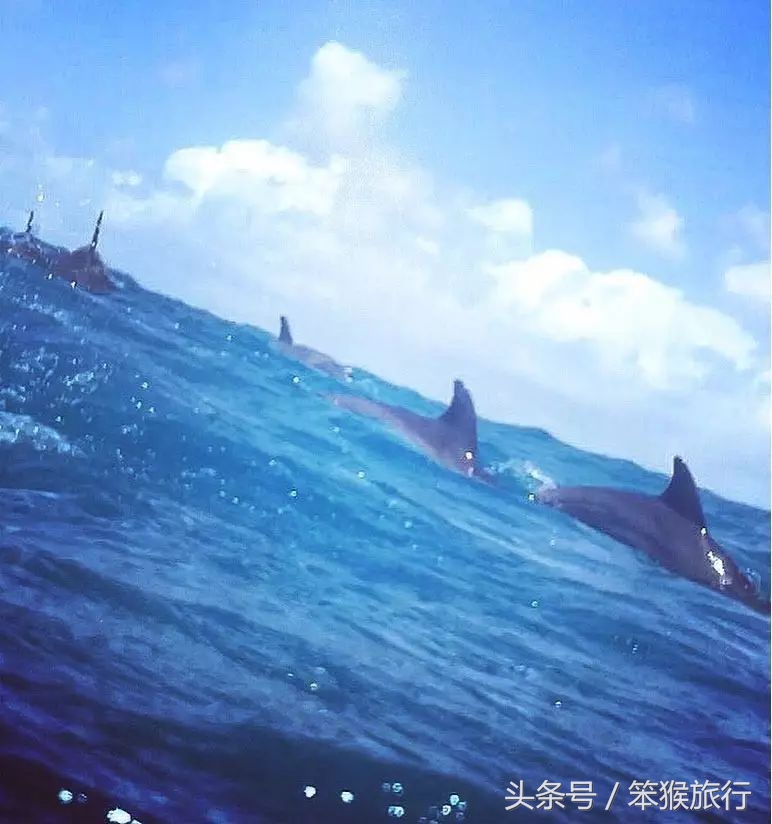 如何征战朋友圈？这个超洗眼睛的地方可落地签一周预算5K+