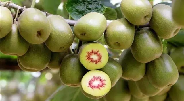 广元3-5天短途旅游推荐国庆,国庆广元哪里好玩