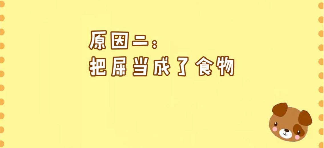 狗狗拉软便什么原因,狗狗吃自己拉的臭臭怎么处理