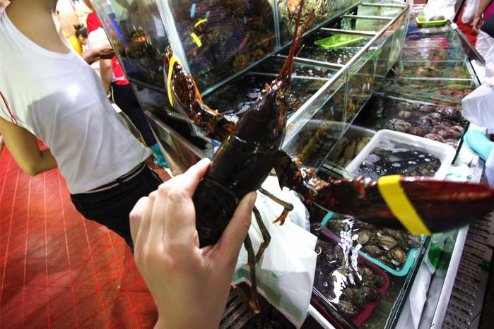 带着寻宝记游遍祖国大好河山,带着挖机去海边度假