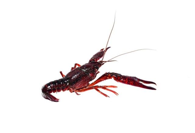 多元消费新业态,消费新业态