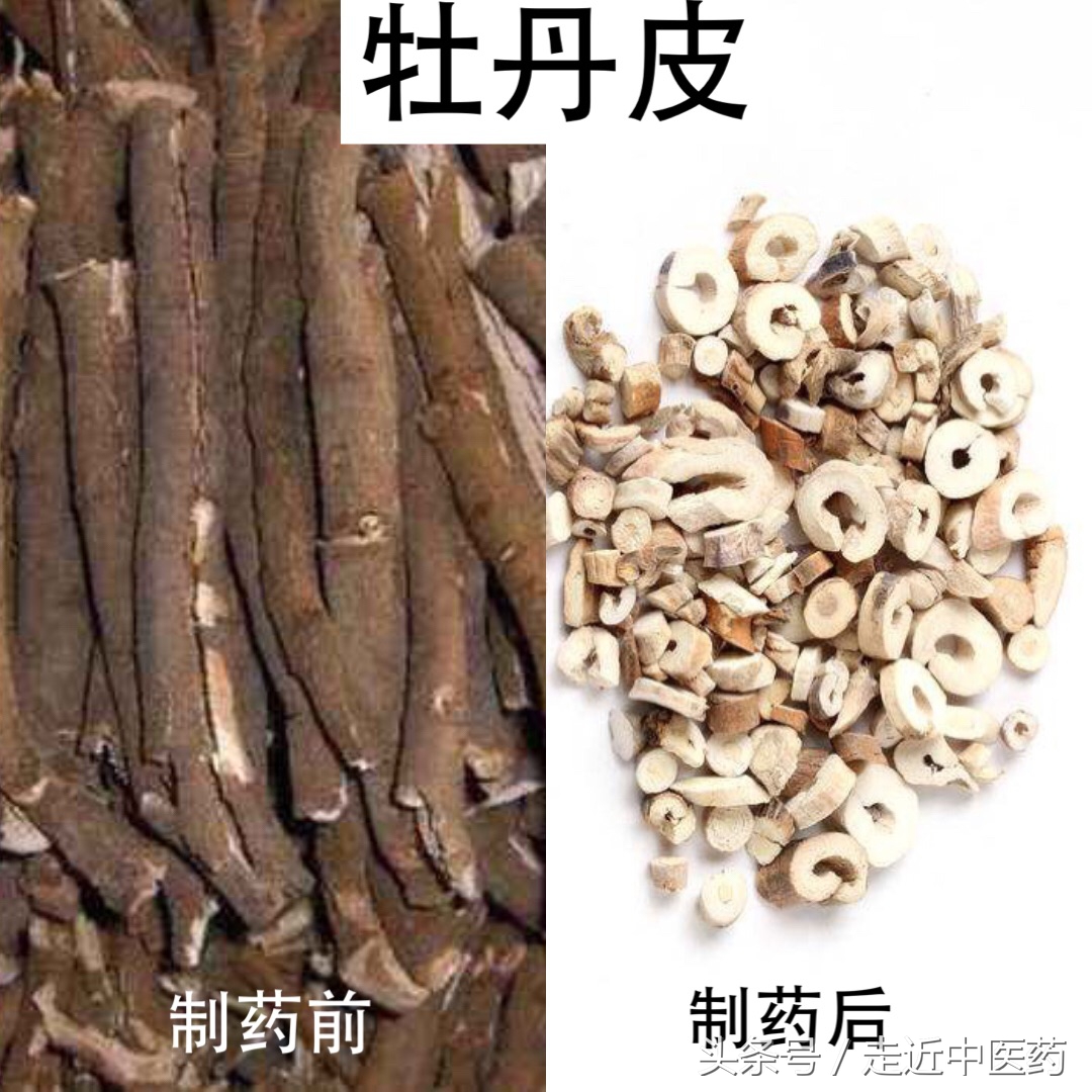 玄参和生地黄哪个凉血好,清热凉血养阴生津生地黄