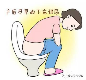 顺产护理知识要点,顺产每日护理流程