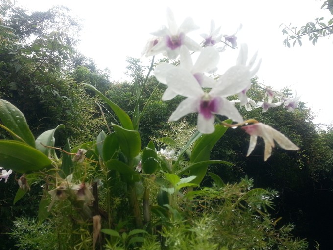 面朝大海春暖花开旅游,面朝大海春暖花开4