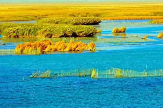 博湖县是南疆哪里,博湖县有哪些景区
