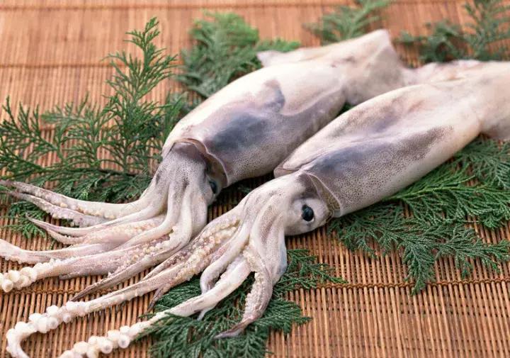 我爱上了厨房,却是因为TA们!