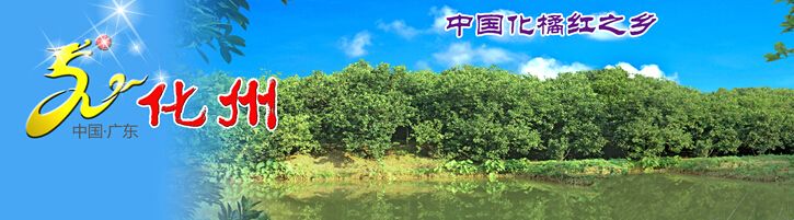 中药材化橘红怎么挑选,如何挑选正宗化橘红