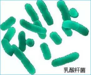 *处私**瘙痒，别再盲目用洗液清洗外阴！