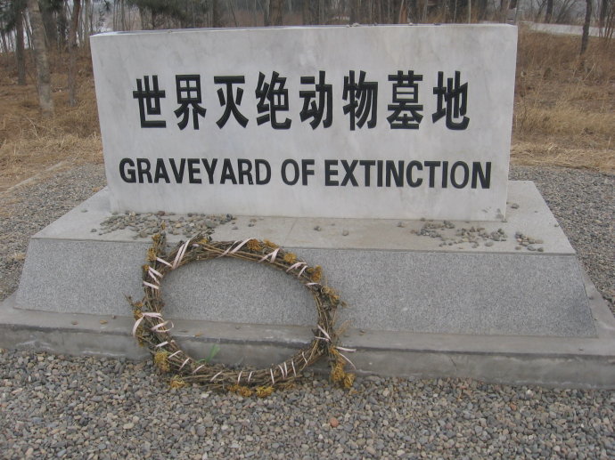 生命的存在形式,生命存在的几种形式