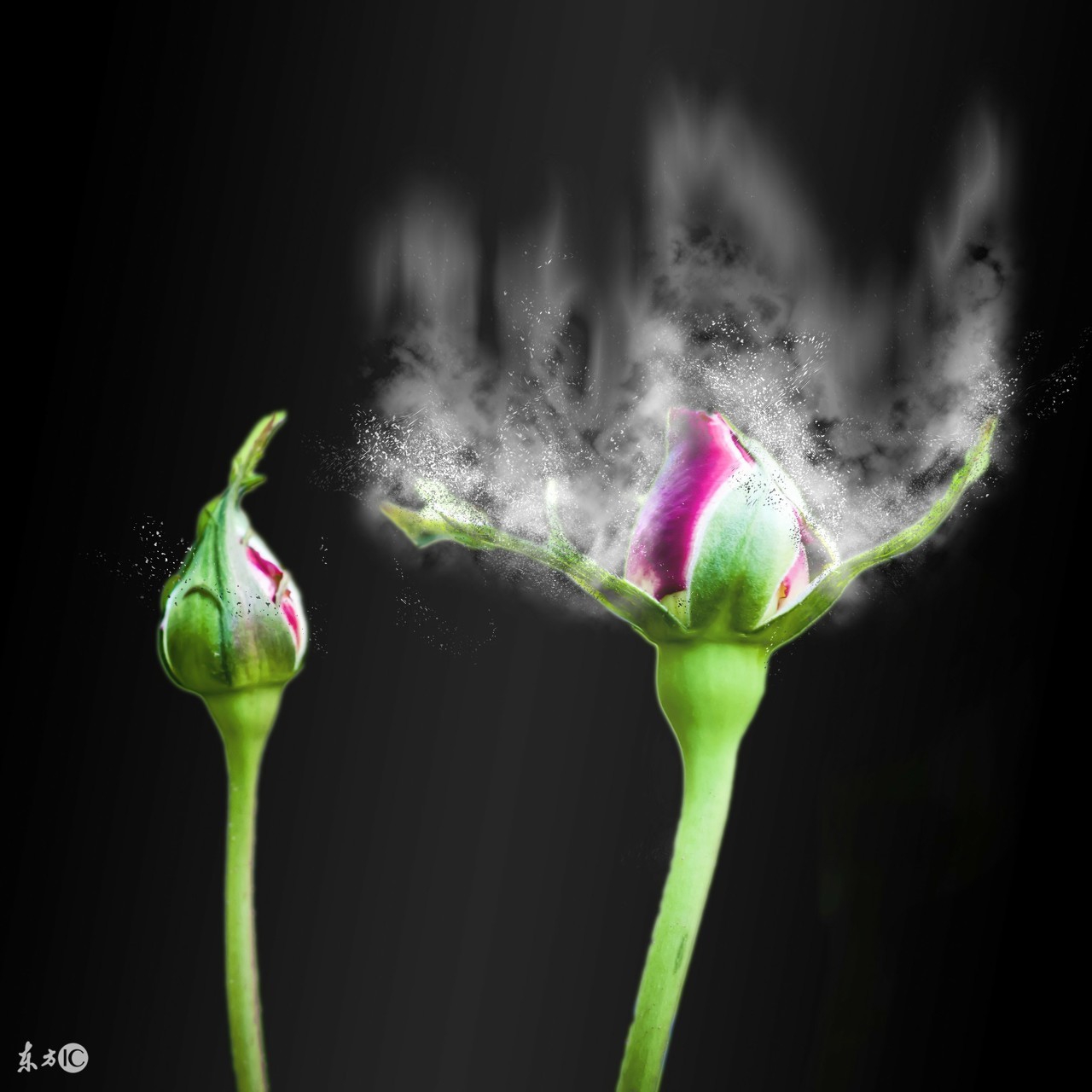 同型半胱氨酸价格,如何看待同型半胱氨酸