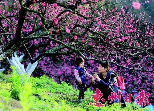 象岭生辉如人间仙境一衣带水似玉带明珠