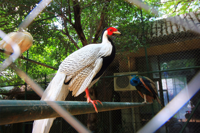 带着寻宝记游遍祖国大好河山,带着挖机去海边度假