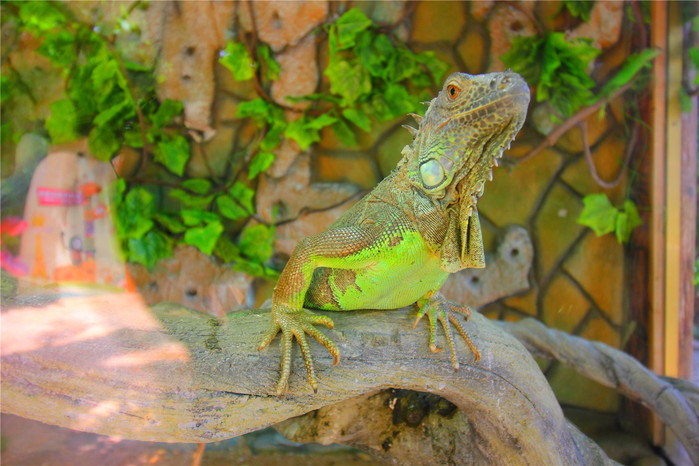 带着寻宝记游遍祖国大好河山,带着挖机去海边度假
