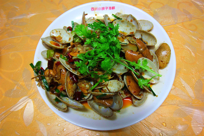 带着寻宝记游遍祖国大好河山,带着挖机去海边度假