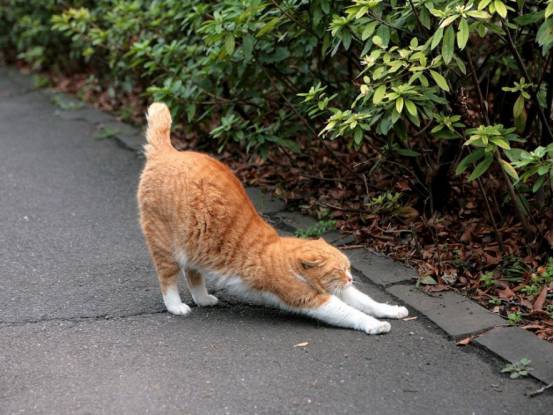 iphonexfaceid用不了了,iphonexfaceid不可用