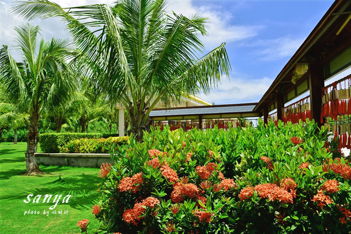 天堂很远中国很近,天堂很远扎西尼玛