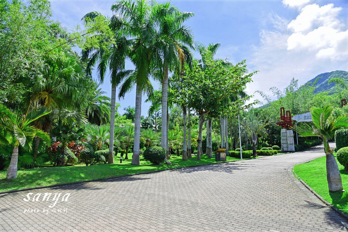 天堂很远中国很近,天堂很远扎西尼玛