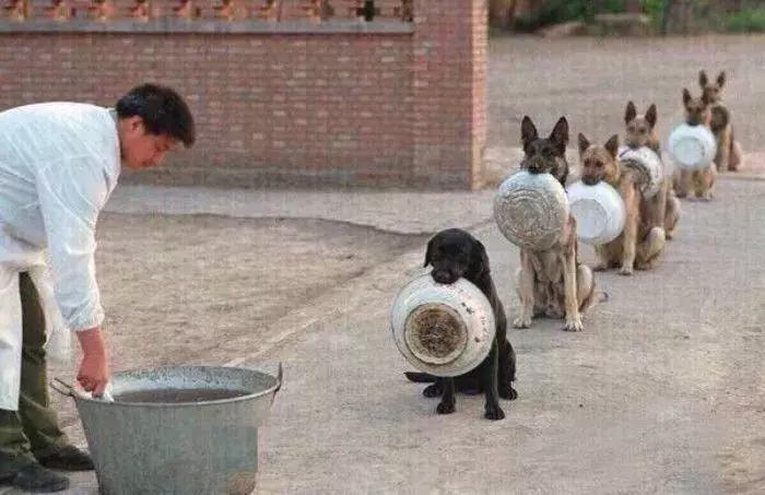 这是我见过最美的情话,这是我见过最浪漫的告白