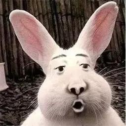 天呐,别人的化妆包怎么那么好看你的却那么丑?