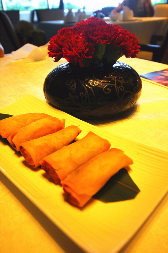 带着寻宝记游遍祖国大好河山,带着挖机去海边度假