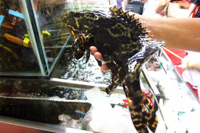 带着寻宝记游遍祖国大好河山,带着挖机去海边度假