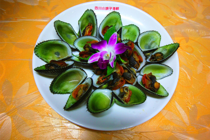 带着寻宝记游遍祖国大好河山,带着挖机去海边度假