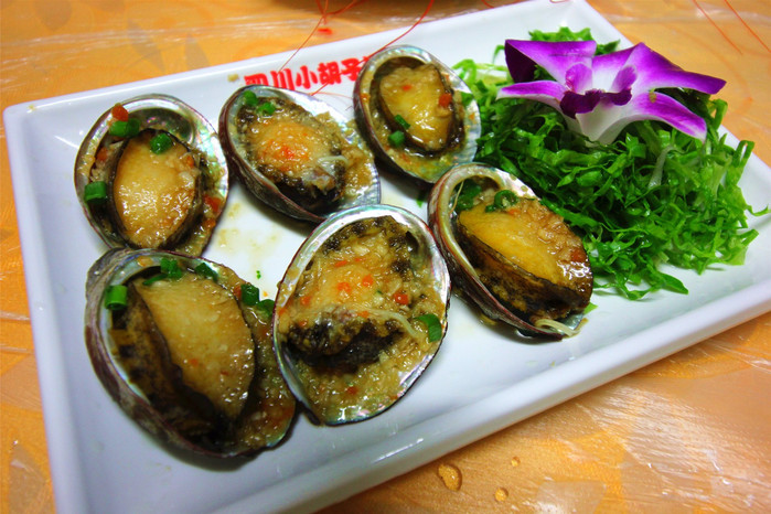 带着寻宝记游遍祖国大好河山,带着挖机去海边度假