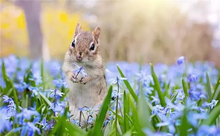 心灵鸡汤英文经典语录短句,英文毒鸡汤经典短句