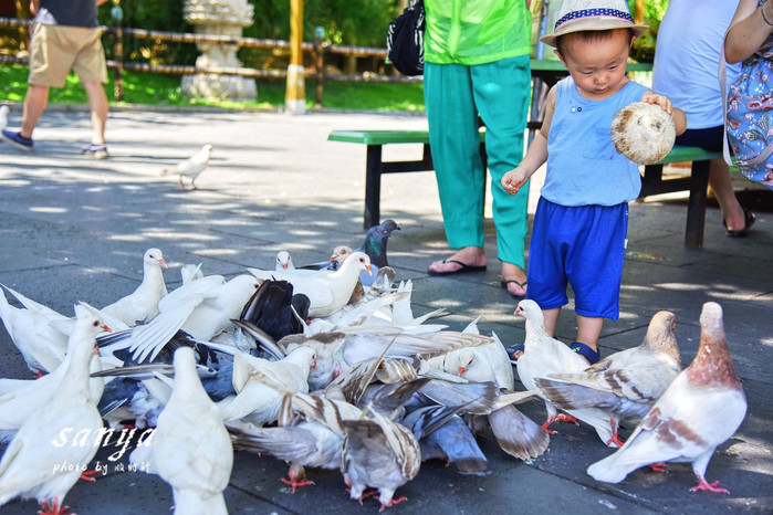 天堂很远中国很近,天堂很远扎西尼玛