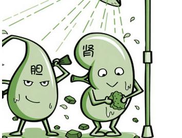 十个痛风患者十个肾结石,有双肾结石的痛风吃什么药