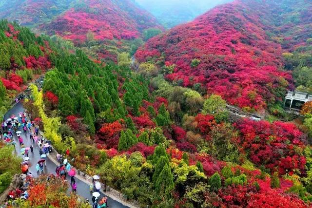 济南有露台的房子,济南恒大帝景空中别墅