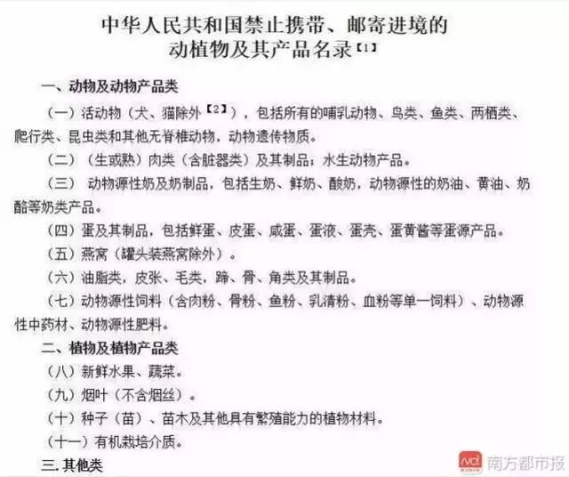 到香港购物需要带哪些东西,去香港购物手续及攻略