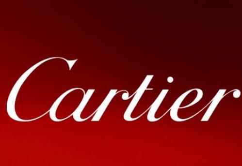 没有女朋友并不代表单身,没有女朋友不代表没有伴侣