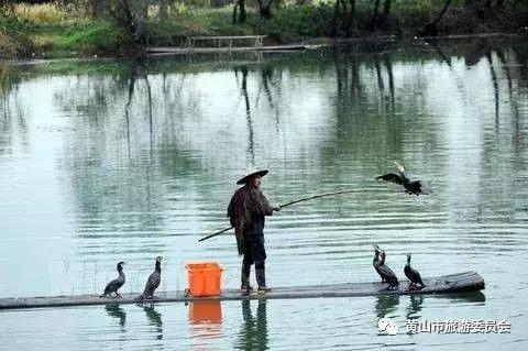 国庆出游去哪儿玩儿,国庆去安徽哪里玩