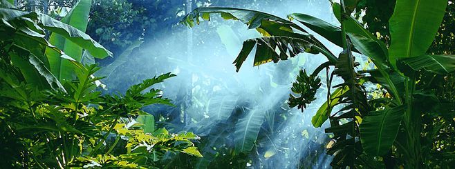 诗词鉴赏人生,诗词鉴赏人