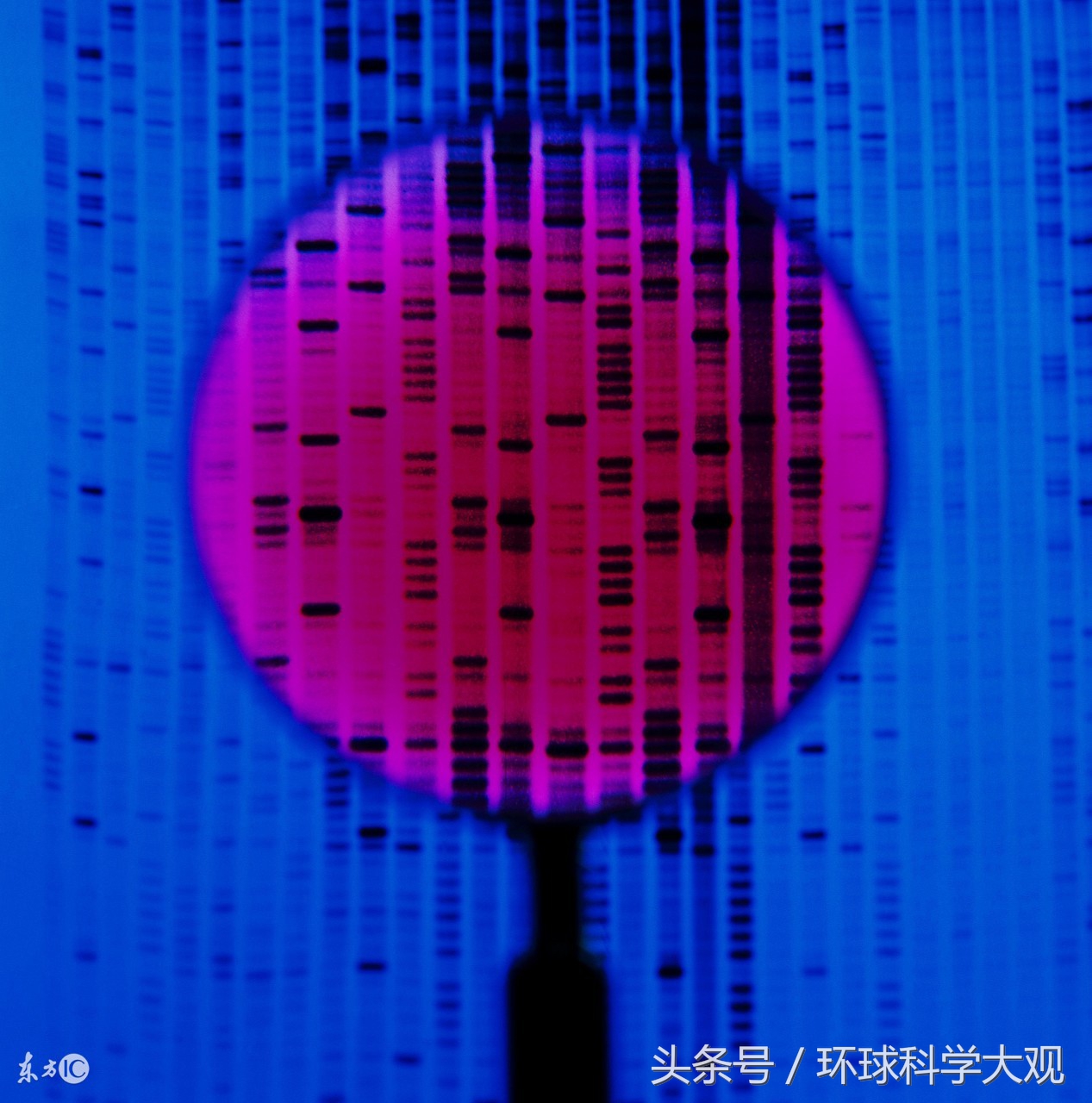 光声转换获巨大突破！外媒：打雷变闪电，将淘汰世界所有计算机！