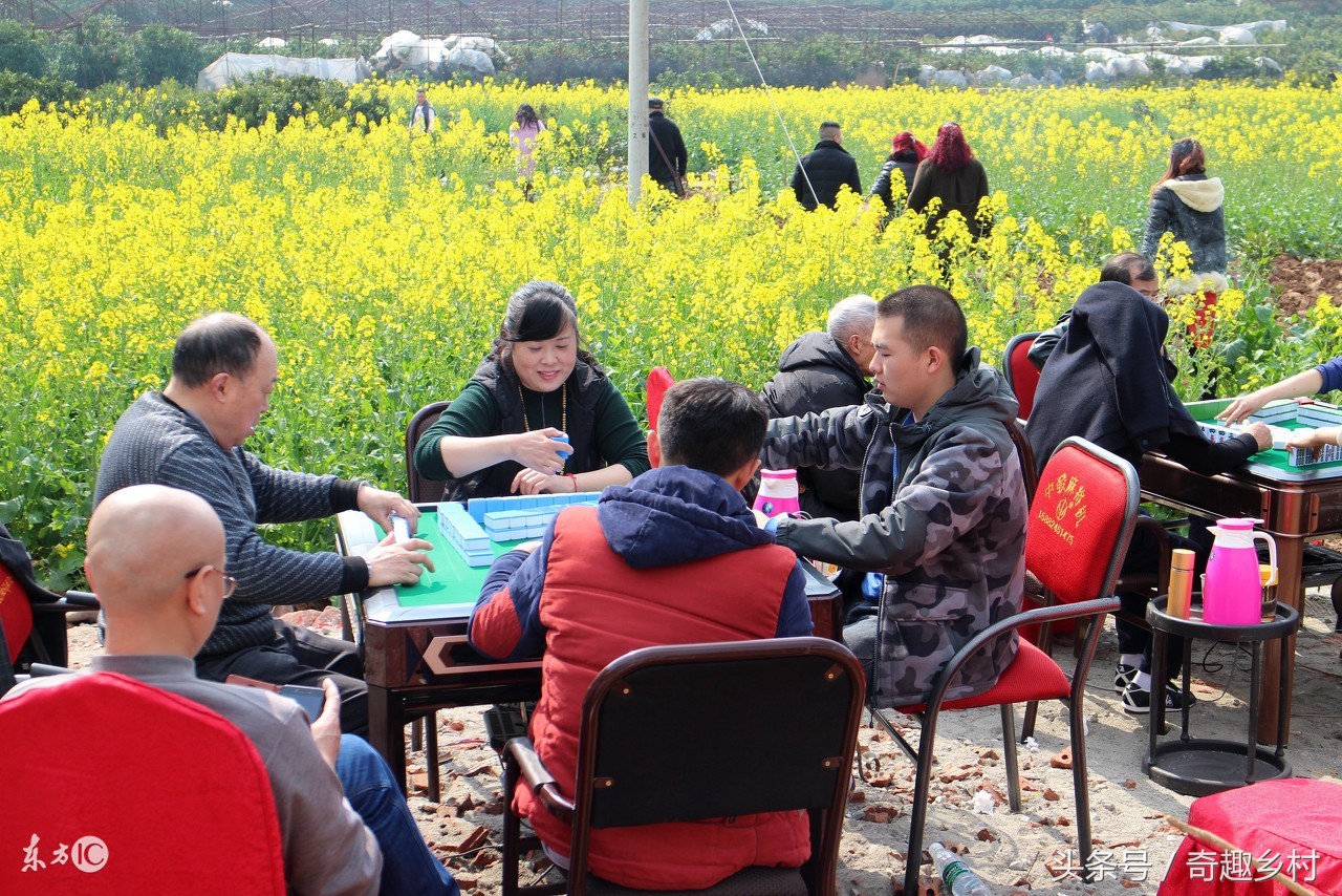 打麻将为人处世技巧与方法,十五年打麻将经验告诉你