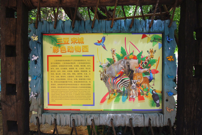 带着寻宝记游遍祖国大好河山,带着挖机去海边度假