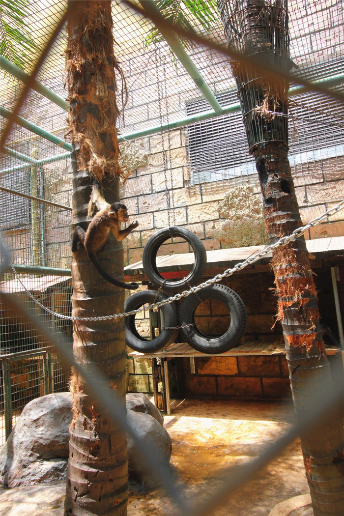 带着寻宝记游遍祖国大好河山,带着挖机去海边度假