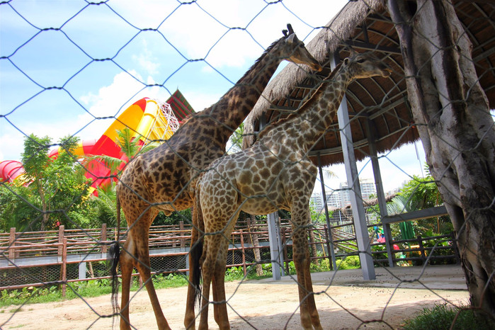 带着寻宝记游遍祖国大好河山,带着挖机去海边度假