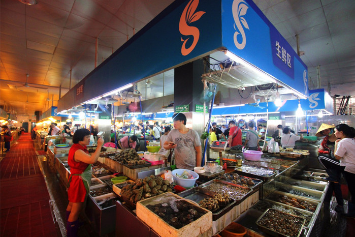 带着寻宝记游遍祖国大好河山,带着挖机去海边度假