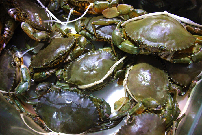 带着寻宝记游遍祖国大好河山,带着挖机去海边度假