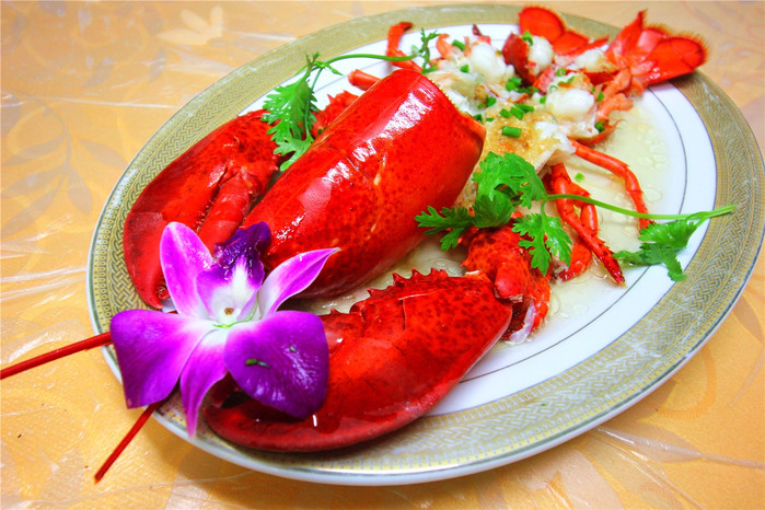 带着寻宝记游遍祖国大好河山,带着挖机去海边度假