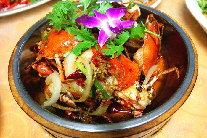 带着寻宝记游遍祖国大好河山,带着挖机去海边度假