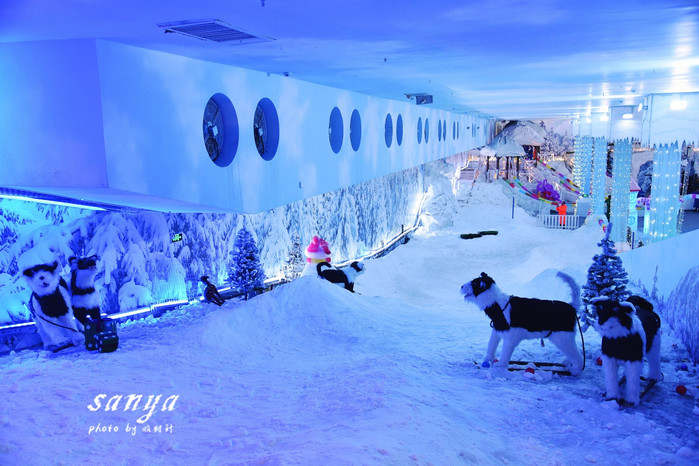 天堂很远中国很近,天堂很远扎西尼玛