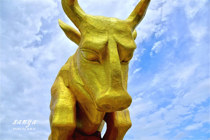 天堂很远中国很近,天堂很远扎西尼玛