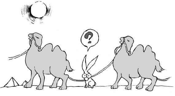 当一个人盲目的时候该怎么办,当所有人都盲目去做一件事的时候