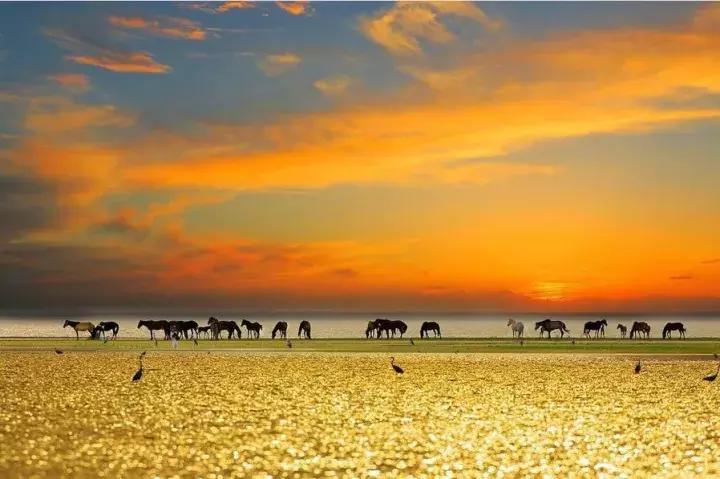 博湖县是南疆哪里,博湖县有哪些景区