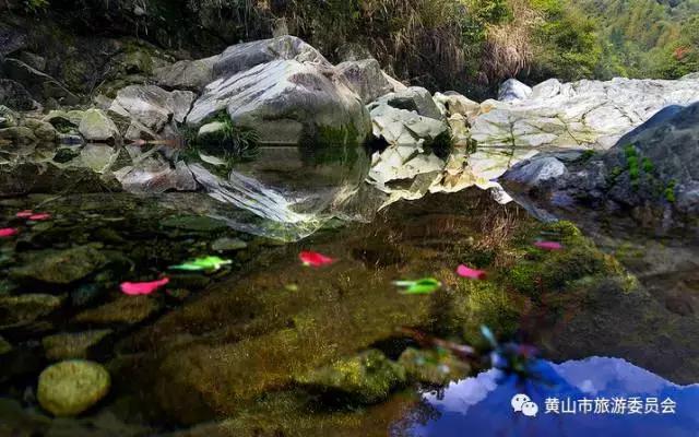 国庆出游去哪儿玩儿,国庆去安徽哪里玩