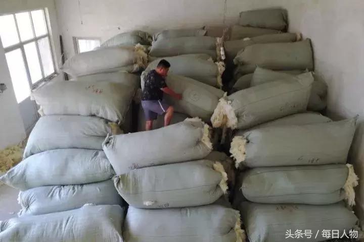 故乡再重逢,故乡再次和闰土见面